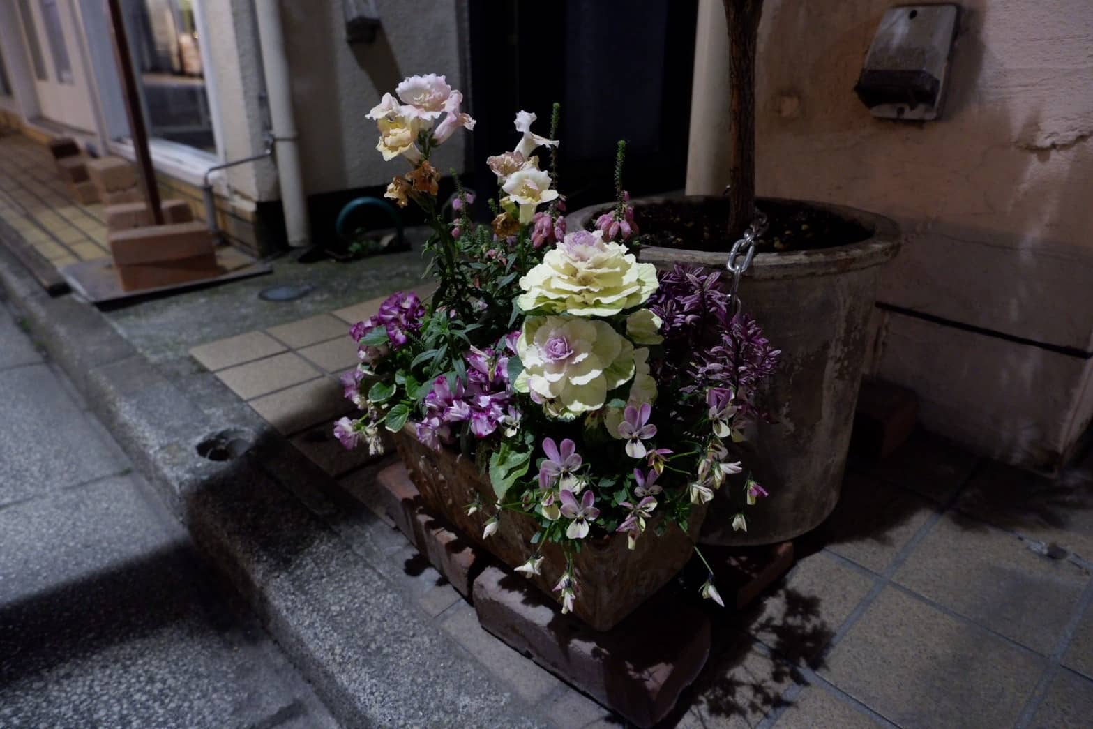 Main Artwork by Risa Yoshii